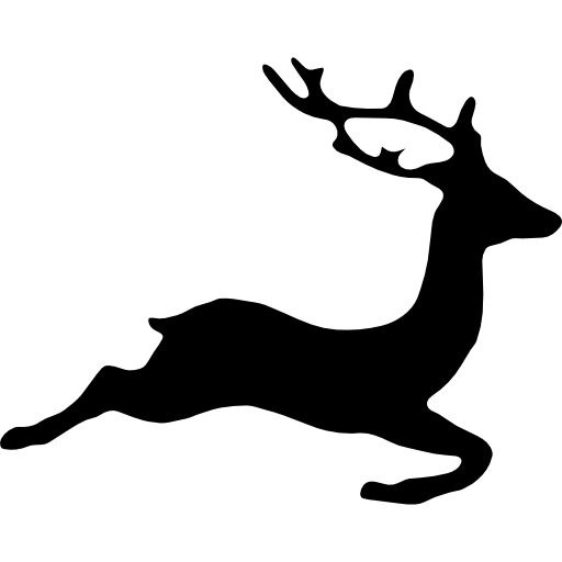 sr