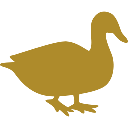 sr