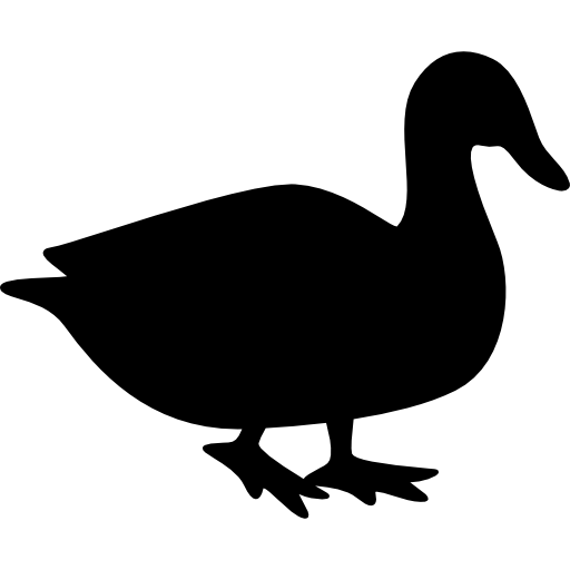 sr