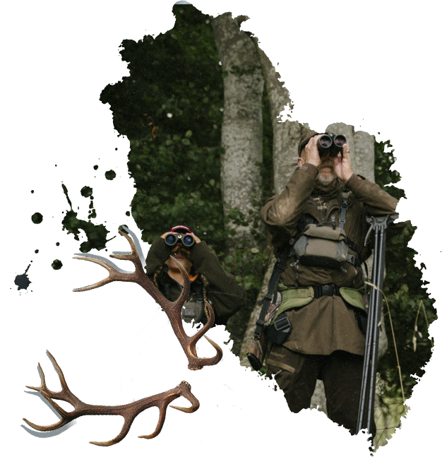 ser