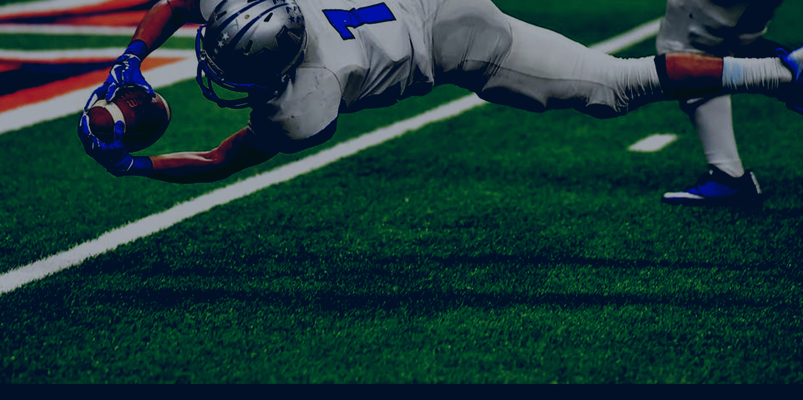 sub-banner